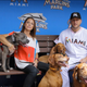 Illustration for article titled Mark Buehrle Will Leave His Family Behind Because His Dog Is Banned In Toronto